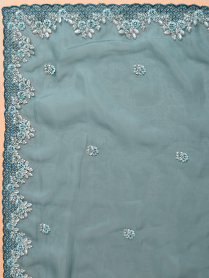 Rama  Beautiful soft Organza saree