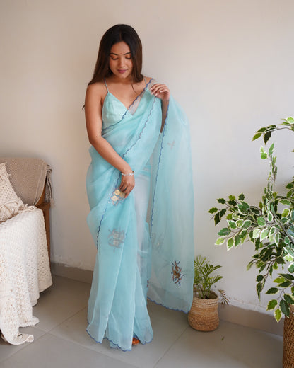 SKY This Organza saree