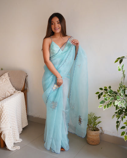 SKY This Organza saree