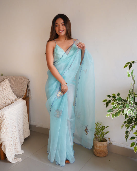 SKY This Organza saree