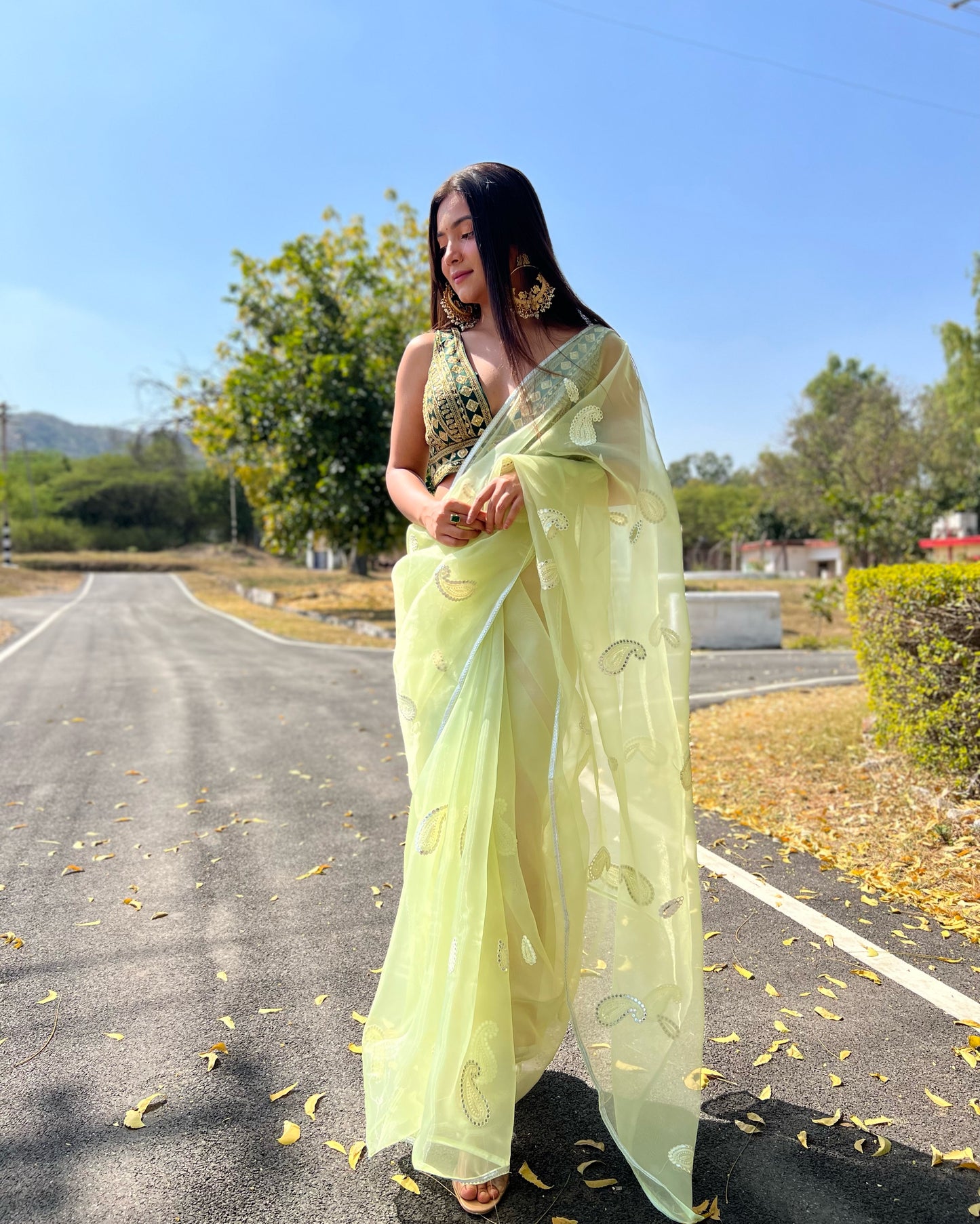 Green  Beautiful Organza silk Sarees