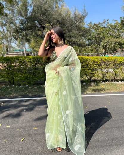 Green  Beautiful Organza silk Sarees