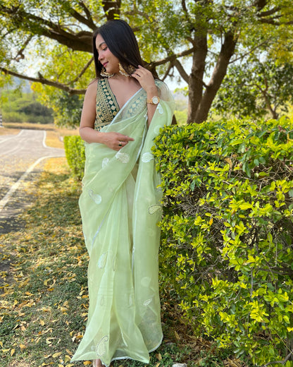 Green  Beautiful Organza silk Sarees