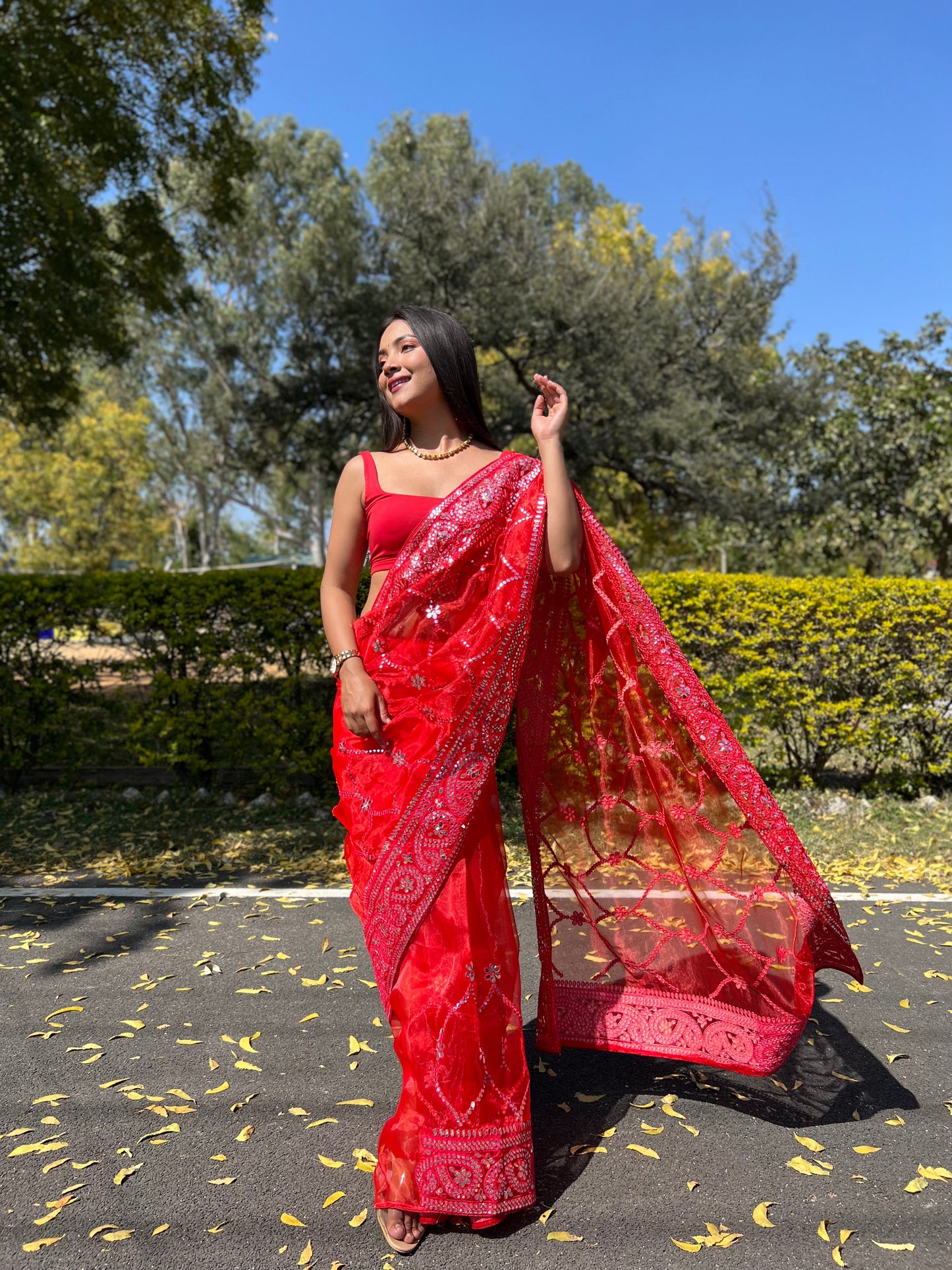 Red sequence & Embroidery Work Saree