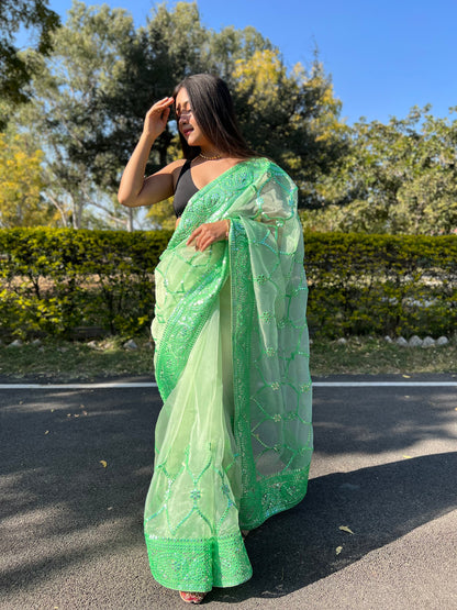 Green Sequence &amp; Embroidery Work Saree