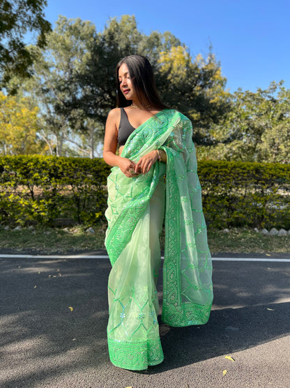 Green Sequence &amp; Embroidery Work Saree