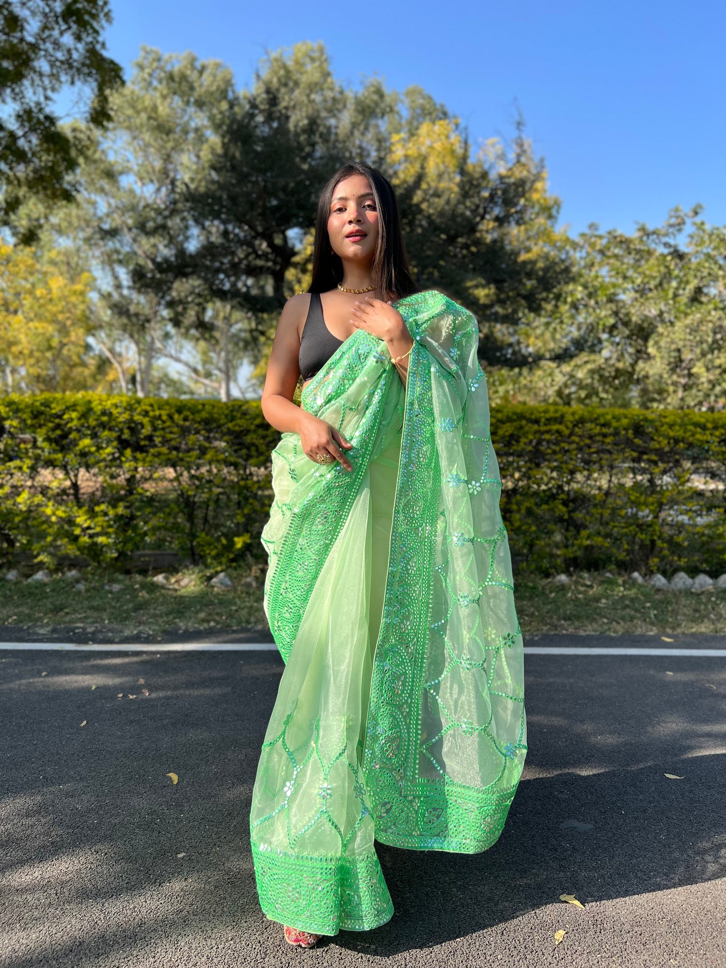 Green Sequence &amp; Embroidery Work Saree