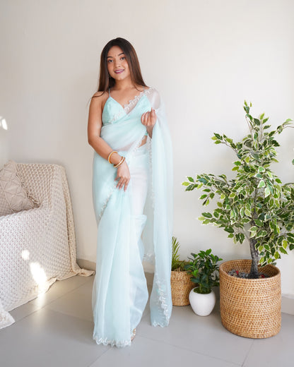 Sky PURE ORGANZA SILK SAREE