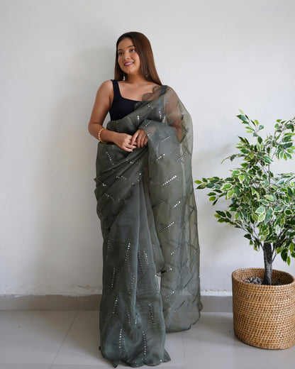 Grey Sequence Mirror Organza Saree with Embroidery & Arco Cutwork Border