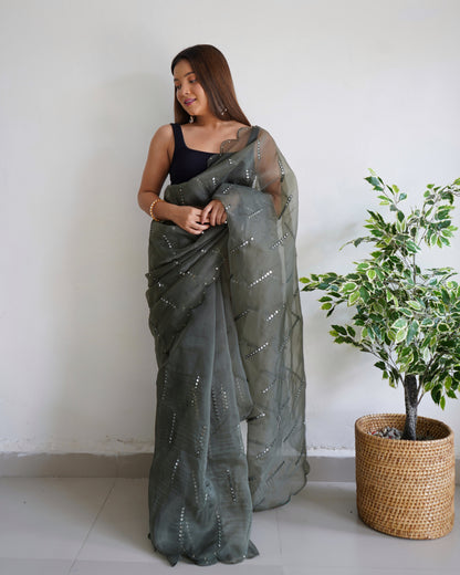 Grey Sequence Mirror Organza Saree with Embroidery & Arco Cutwork Border