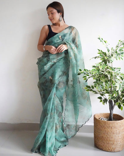 Rama Presenting The pure Organza silk Saree