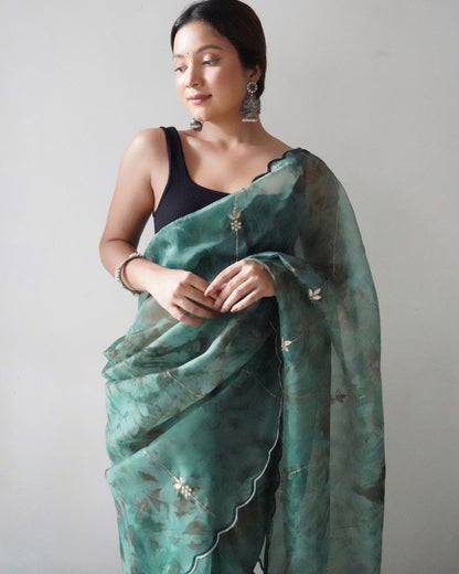 Rama Presenting The pure Organza silk Saree