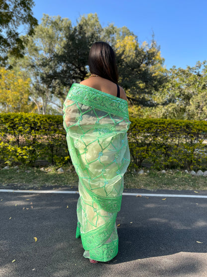 Green Sequence &amp; Embroidery Work Saree