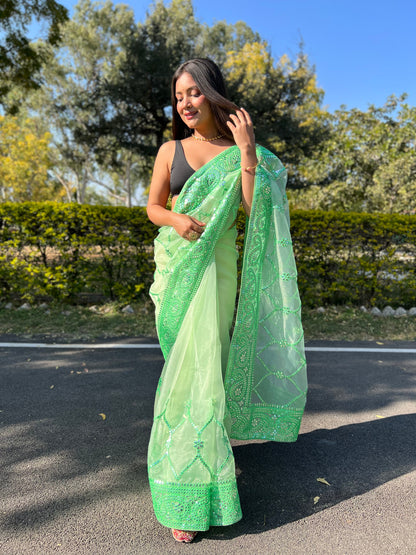 Green Sequence &amp; Embroidery Work Saree